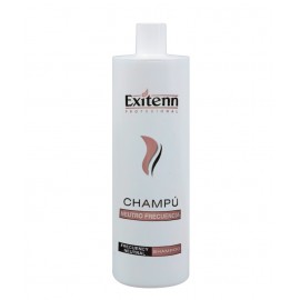 CHAMPÚ NEUTRO FRECUENCIA CARAMELO EXITENN, 1000 ml